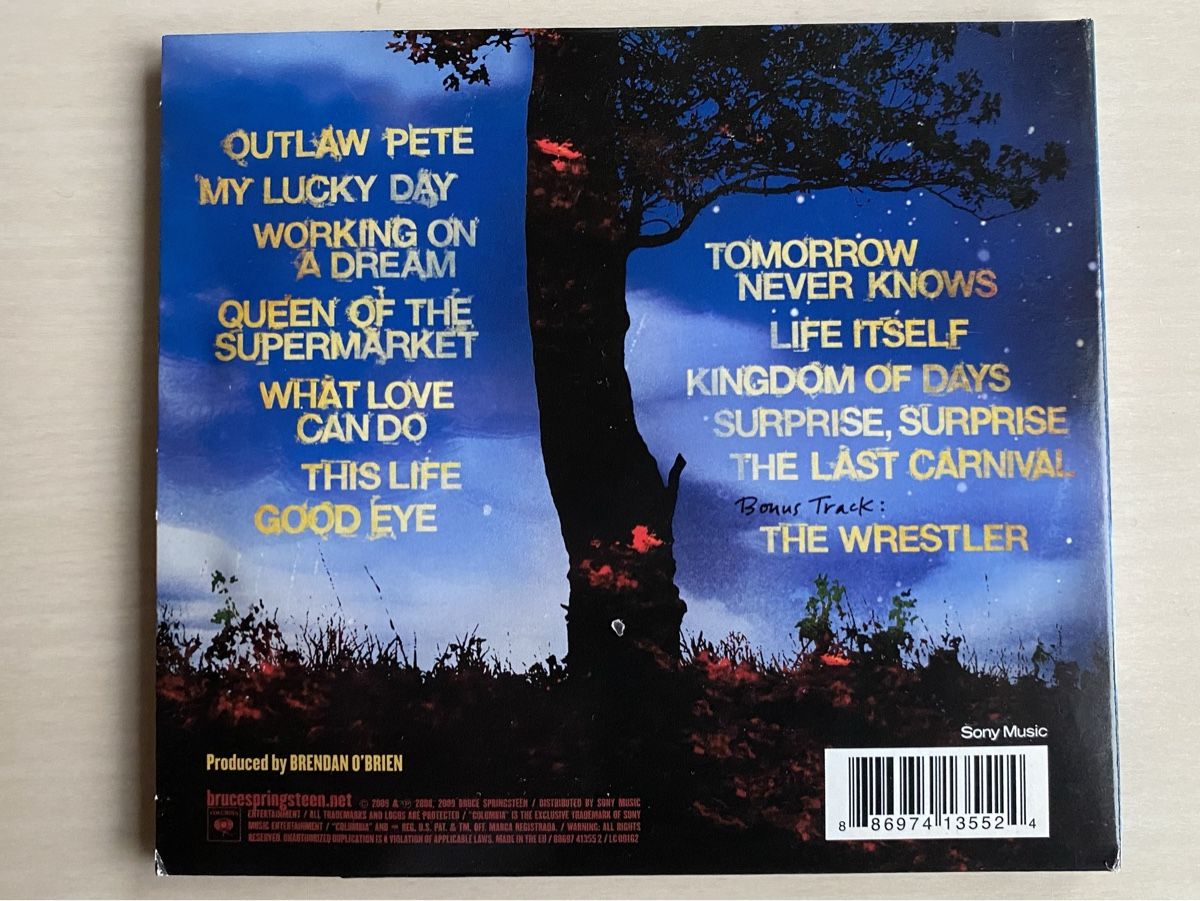 CD: Bruce Springsteen. Working On  A Dream – Usato da Oberried Brienz venduto da Chyara 1