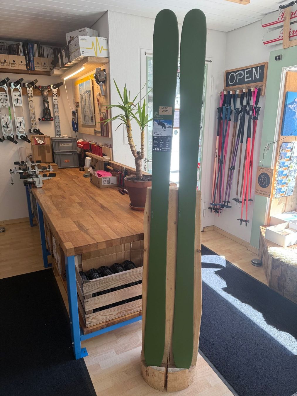 Sci: Candide Skis Area91 182cm – Nuovo e nell'imballaggio originale da Andermatt venduto da Made_In_Andermatt