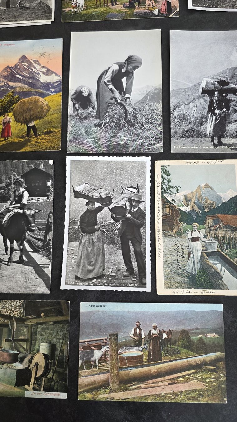Cartoline postali: Lot AK Landwirtschaft Schweiz – Usato da Reichenburg venduto da ibiza18 6