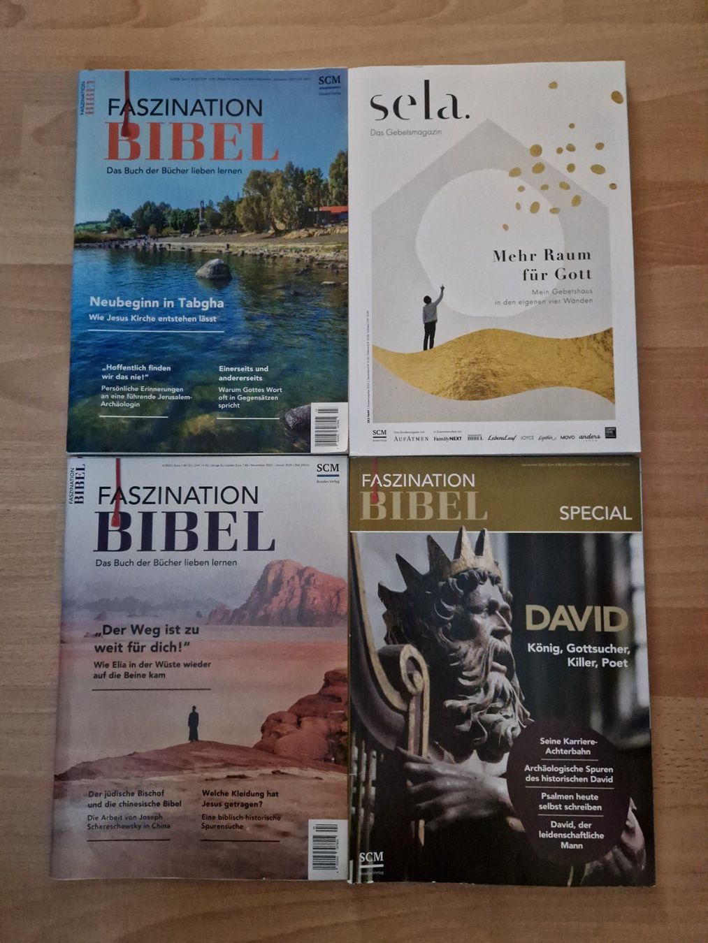Riviste & Magazine: Faszination Bibel 4 Magazine – Usato da Neuhausen am Rheinfall venduto da Alchimista