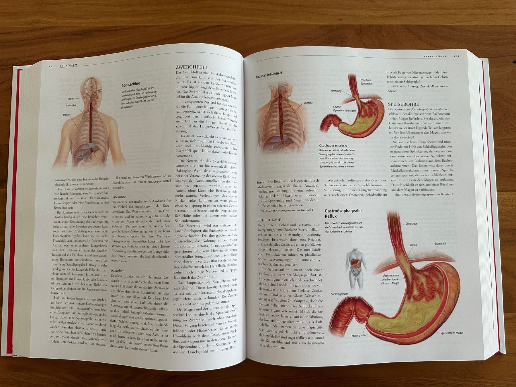 Bücher: Anatomica: Körper und Gesundheit – Gebraucht aus Bürglen UR von Amdeko 1