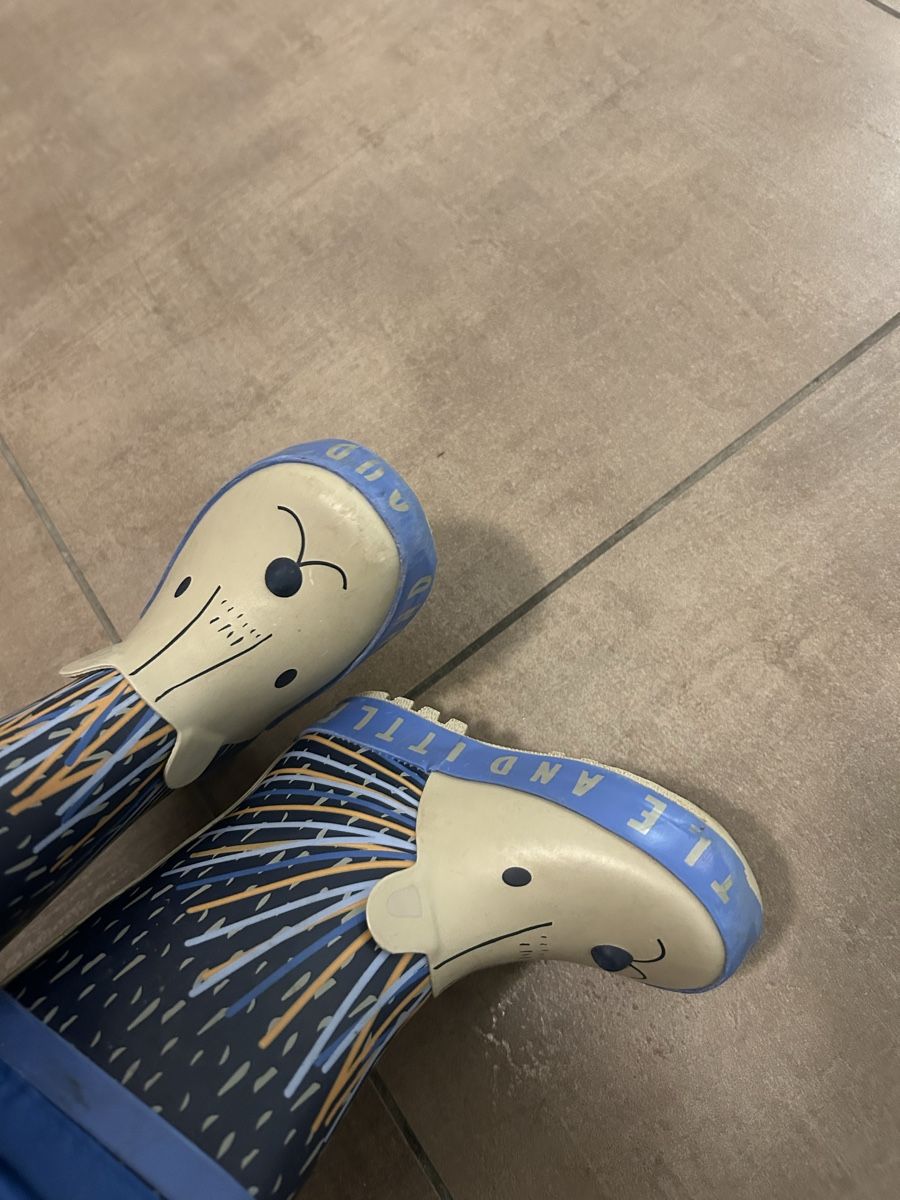 Schuhe für Jungen: Kinder Gummistiefel, Grösse 22, Bär Design, – Gebraucht aus Wolhusen von kan_6lhw 5