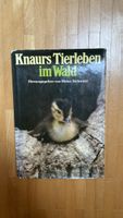 Knaurs Tierleben im Wald - Naturbuch Fakten Sachbuch Tier