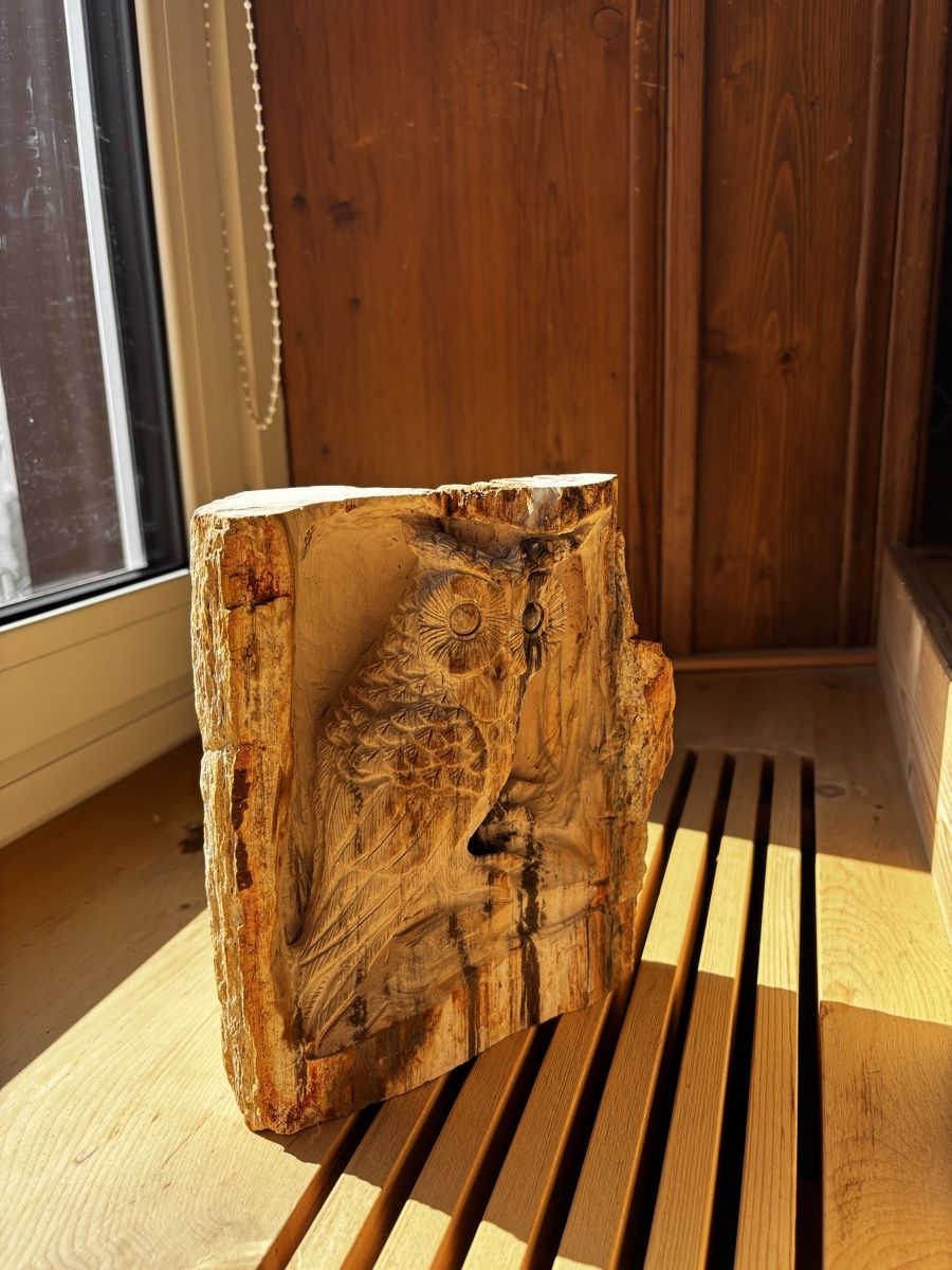 Skulpturen & Statuen: Handgeschnitzte Eule versteinertes Holz, ca. 20cm – Neu (gemäss Beschreibung) aus Jenaz von AlphaWolf74 3