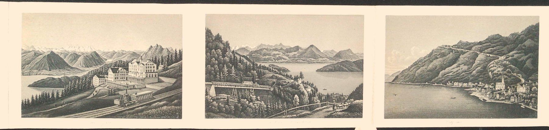 Libri: Souvenir du Rigi von Dikenmann – Usato da Rafz venduto da booksell 4