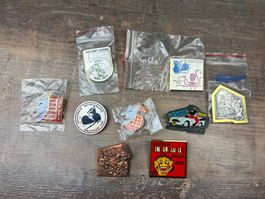 Fasnacht anstecker brosche gugge