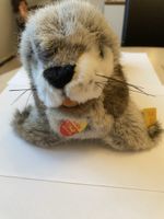 Schöne Steiff Robbe ( Robby)