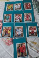 Panini Extra Stickers Rares