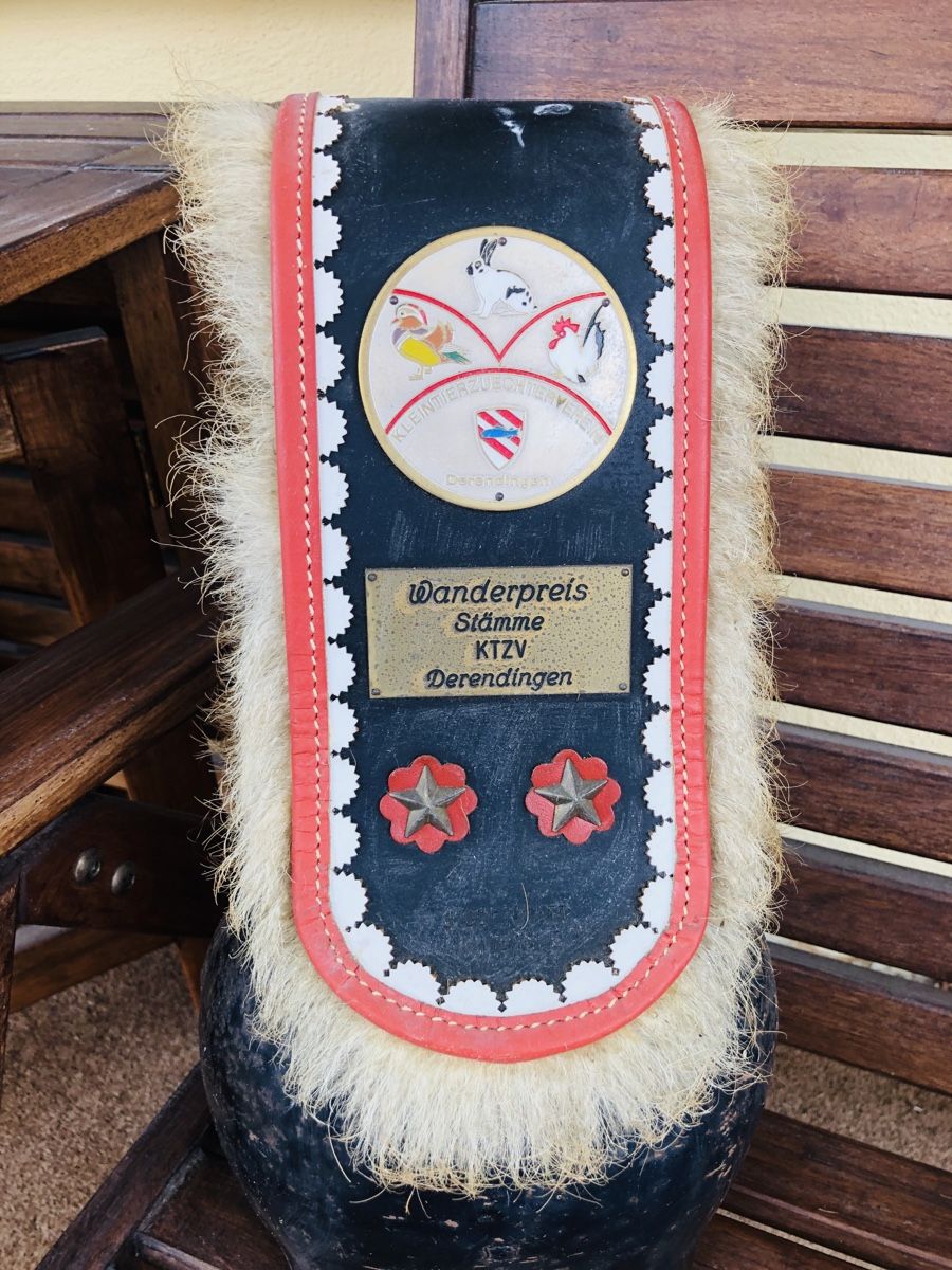 Campanacci mucche: Schweizer Traditions Kuhglocke – Usato da Basel venduto da sch_9g6x 4