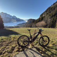 Profile image of Schild02