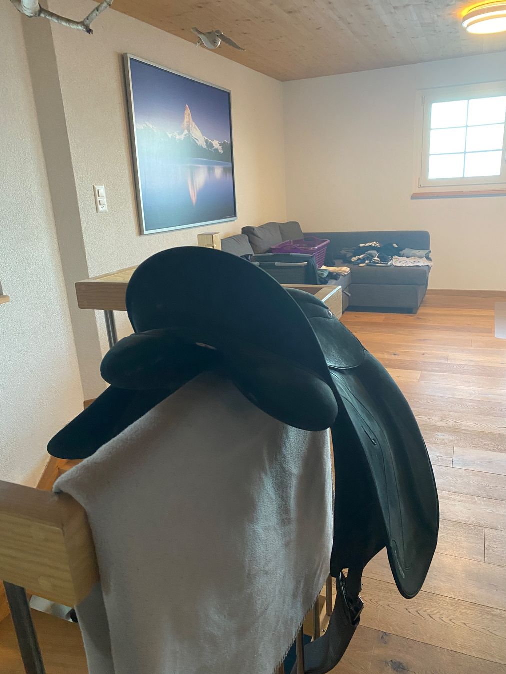 Selle & Accessori: Sattel – Usato da Heiden venduto da wid_l9m8 2