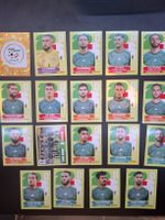 Panini 19 Sticker Algerien 