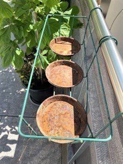 Altro per la casa: BLumenhäNgeR – Usato da Winkel venduto da zeho 3