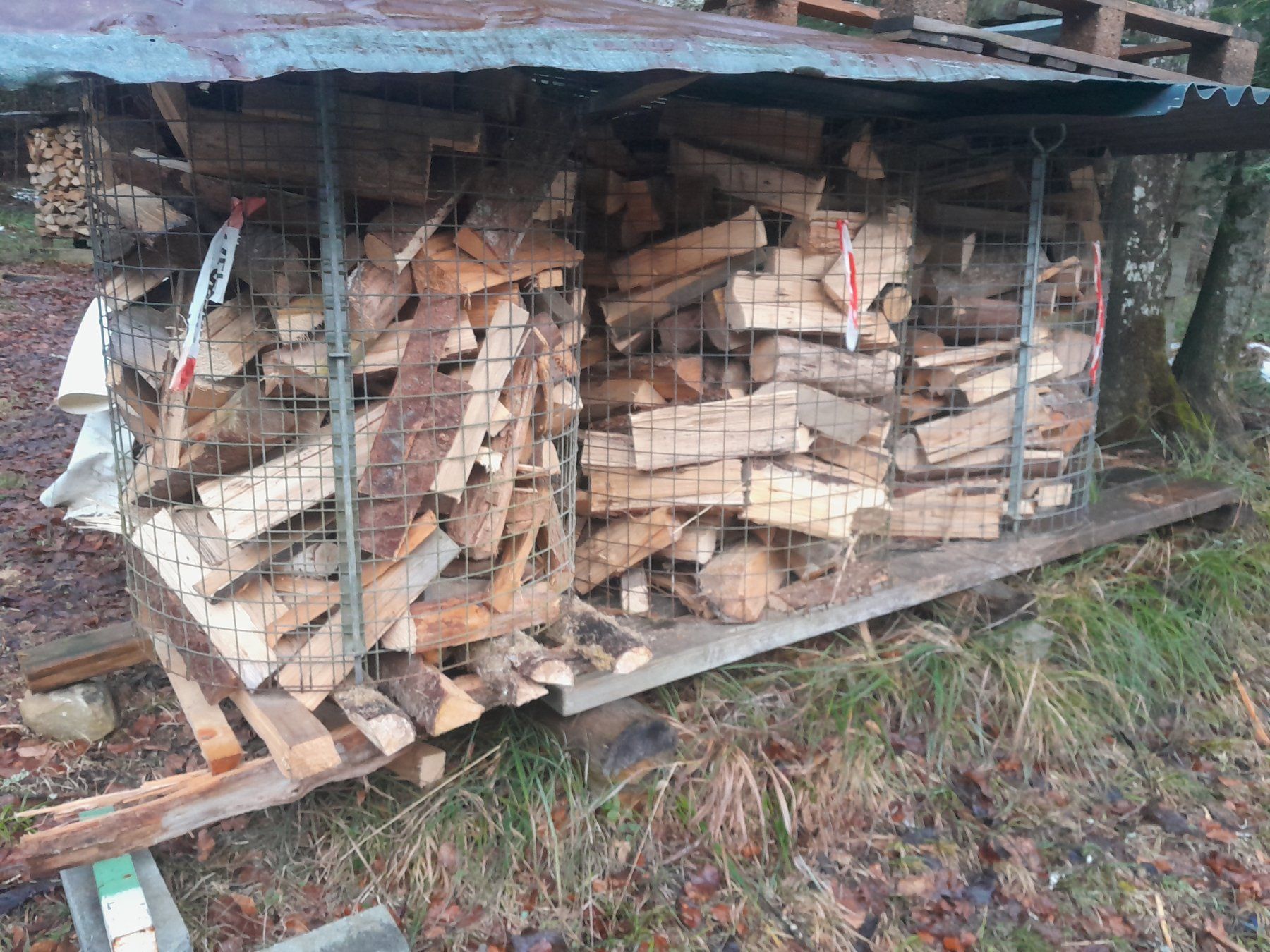 Articoli in legno: Brennholz – Usato da Kriens venduto da timber333 1
