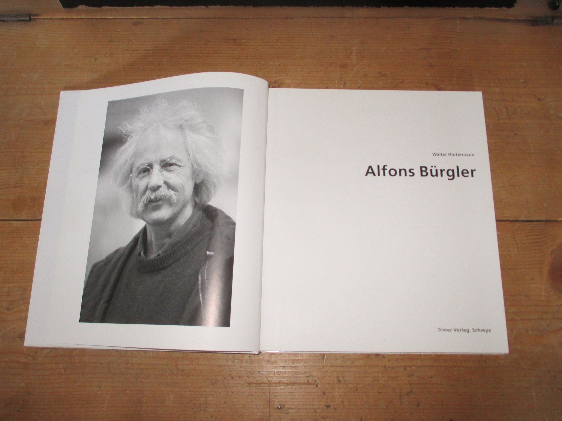 Libri: Alfons Bürgler – Nuovo (secondo la descrizione) da Flims - Dorf venduto da Stagediver 1