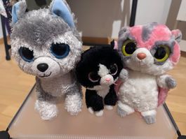3 Plüschtiere mit grossen Augen – Katze, Husky und Flughörnc
