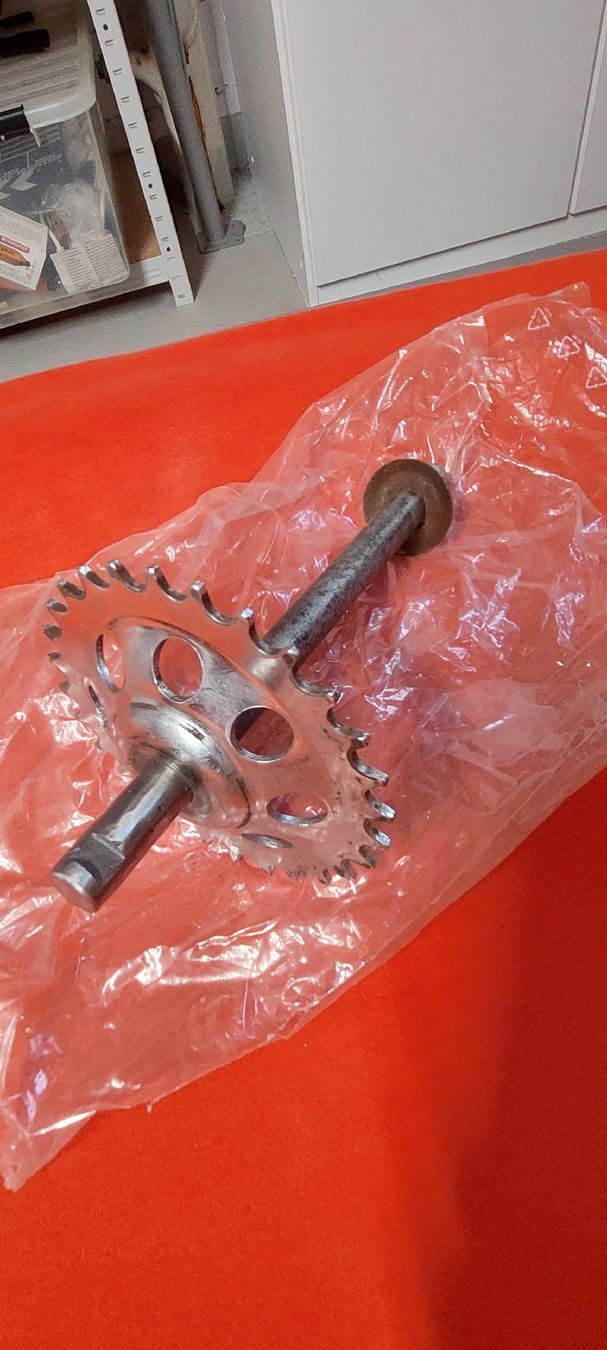Puch Ciclomotori: Tretachse Puch Maxi – Usato da Schaffhausen venduto da sim_zf5r