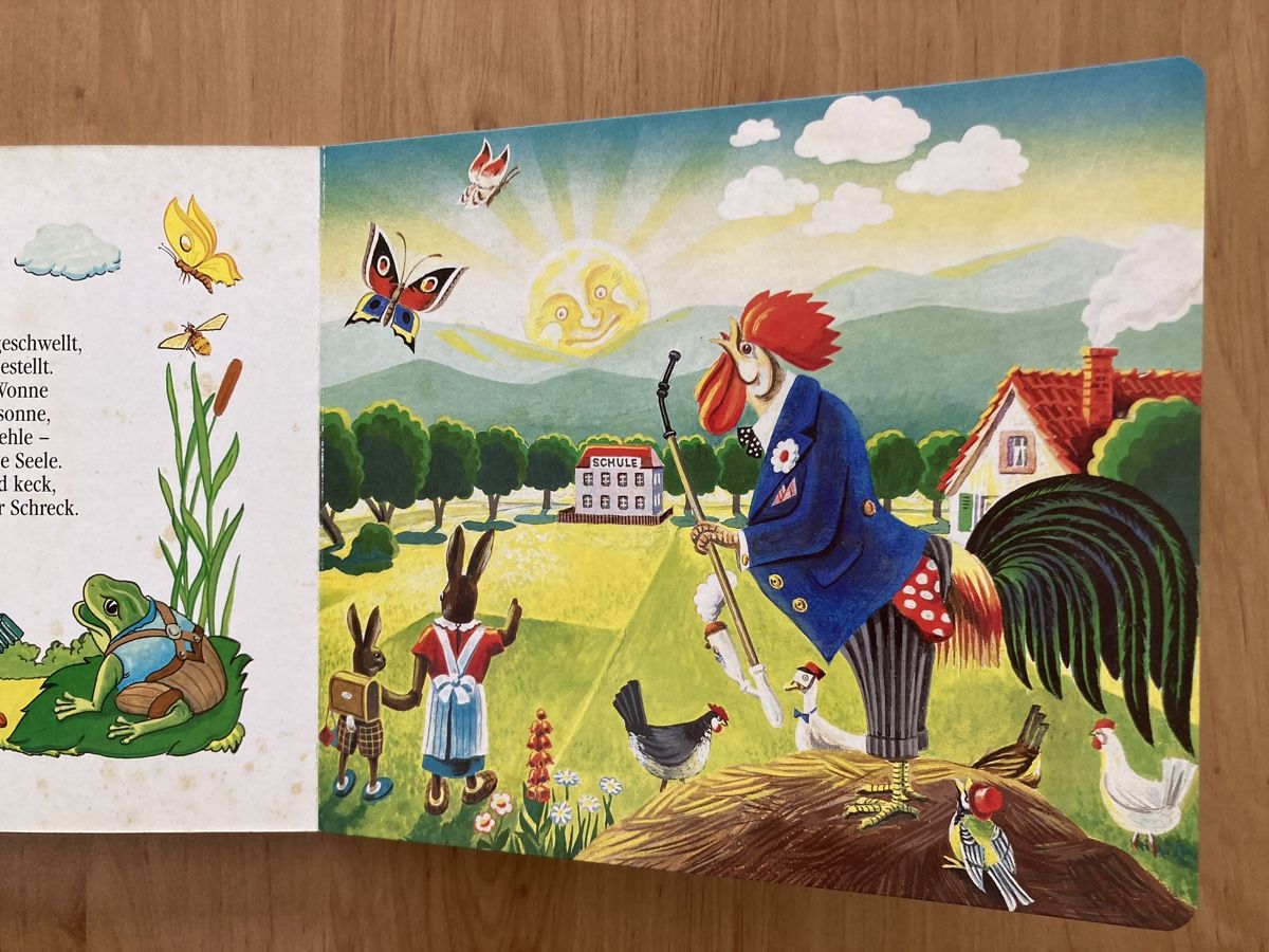 Libri: Kinderbuch "Tanz der Elfen" von Erich Zimmer, – Usato da Schüpfheim venduto da Seerose80 4