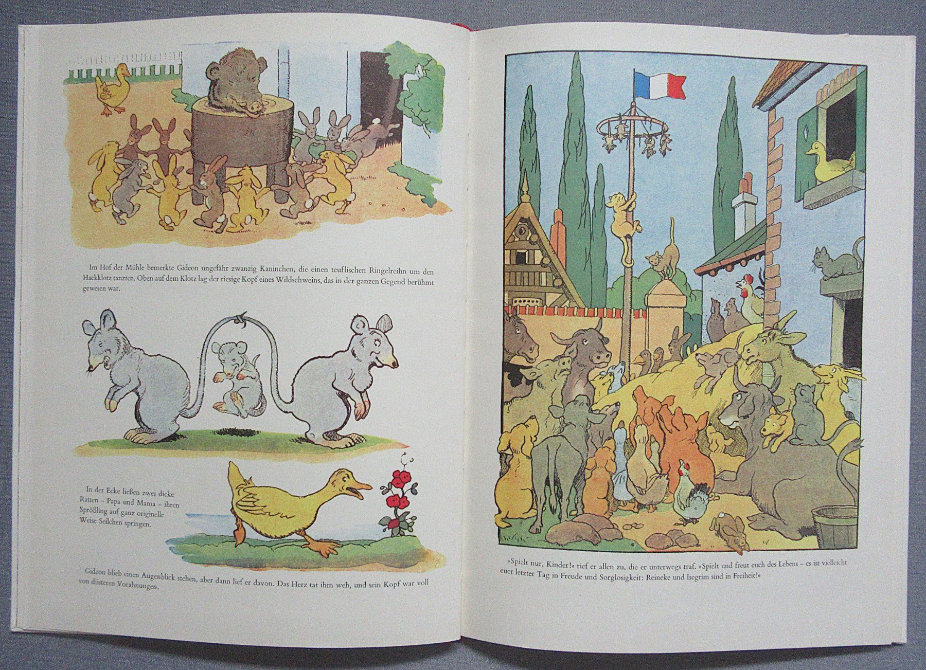 Libri: Gideon im Wald - Ein Diogenes Kinderbuch – Usato da Auenstein venduto da Padabimbim 3