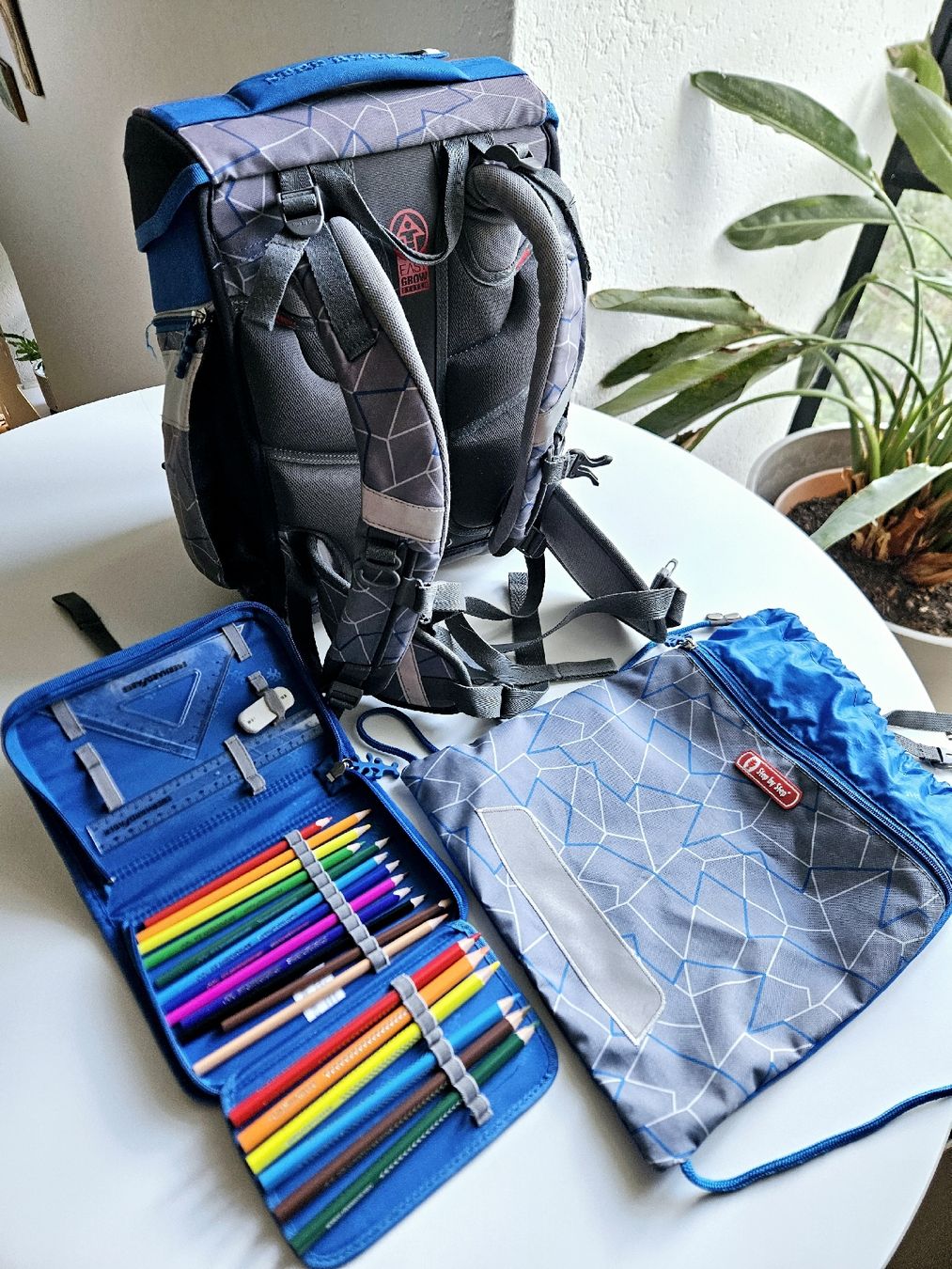 Step by Step Borse & Zaini: Step by Step Schulsack Set mit Zubehör – Usato da Basel venduto da Haile1 4