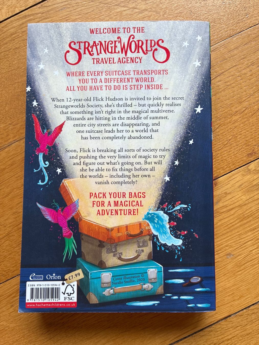 Libri: The Strangeworlds Travel Agency L.D. Lapinksi – Usato da Zollikon venduto da mythenschloss 1