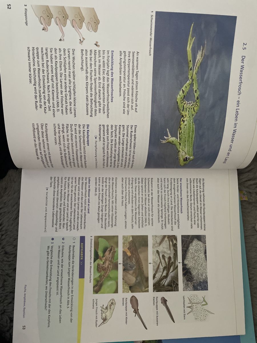 Libri: Natura 7/8 Biologiebuch – Nuovo (secondo la descrizione) da Wangen ZH venduto da Starseaker1 1