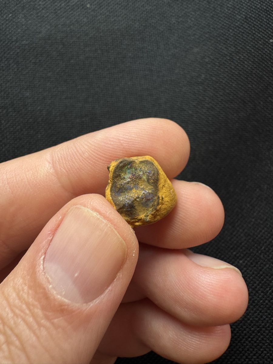 Pietre preziose: Boulder Opal Lot 2, 97.65 ct – Nuovo e nell'imballaggio originale da Wängi venduto da Horus90 3