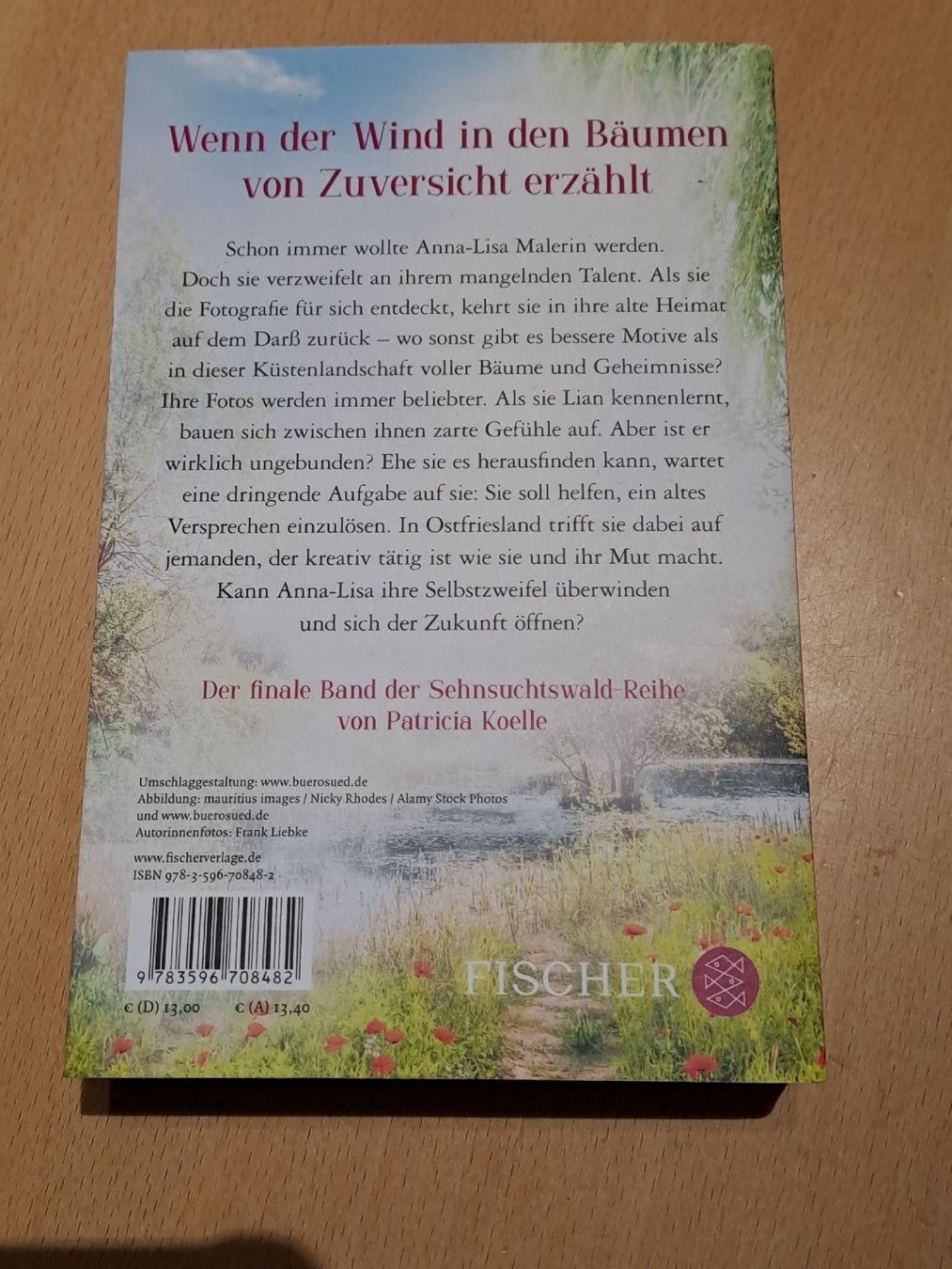 Libri: Der Klang des Windes – Usato da Untersiggenthal venduto da Zehni8 1