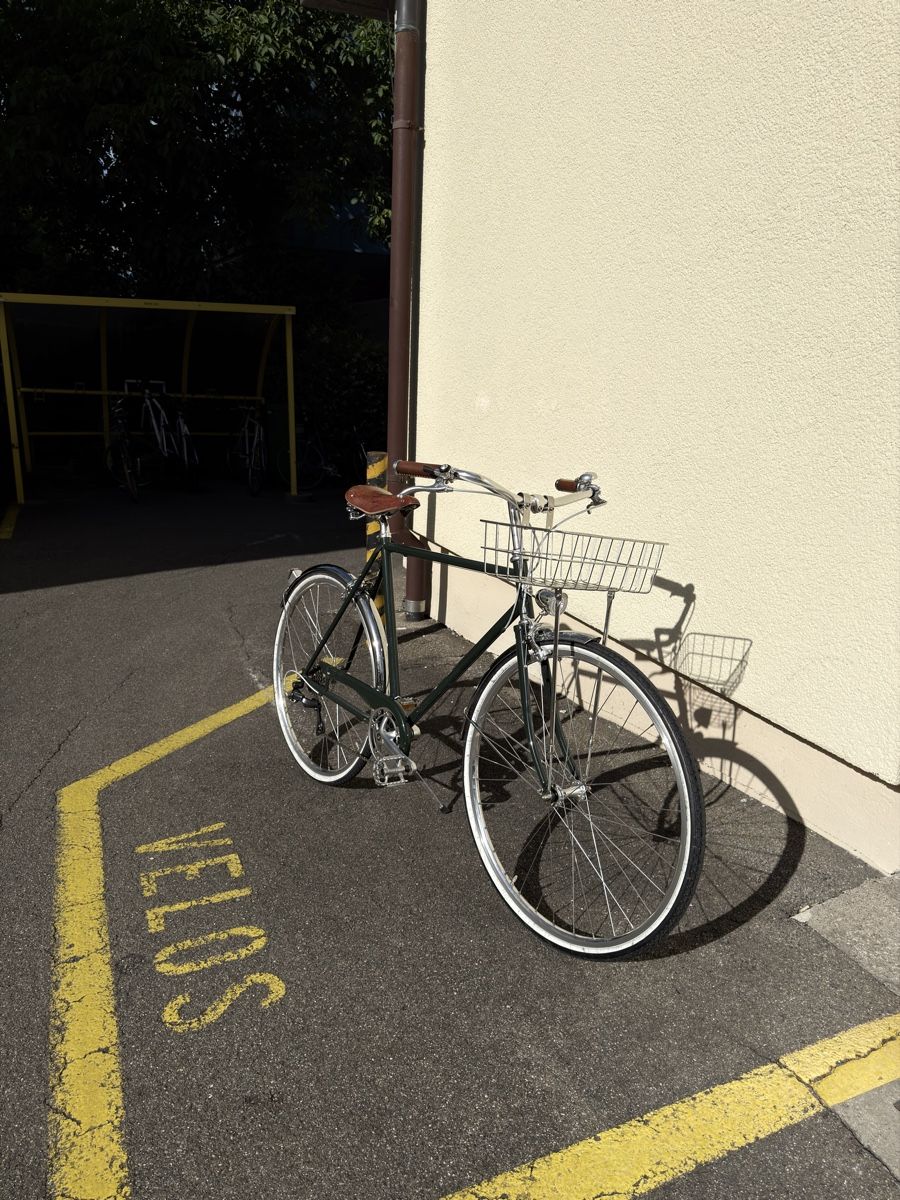 Siech Biciclette: Schönes Siech Comfort Herrenvelo – Usato da Zürich venduto da tholder 1