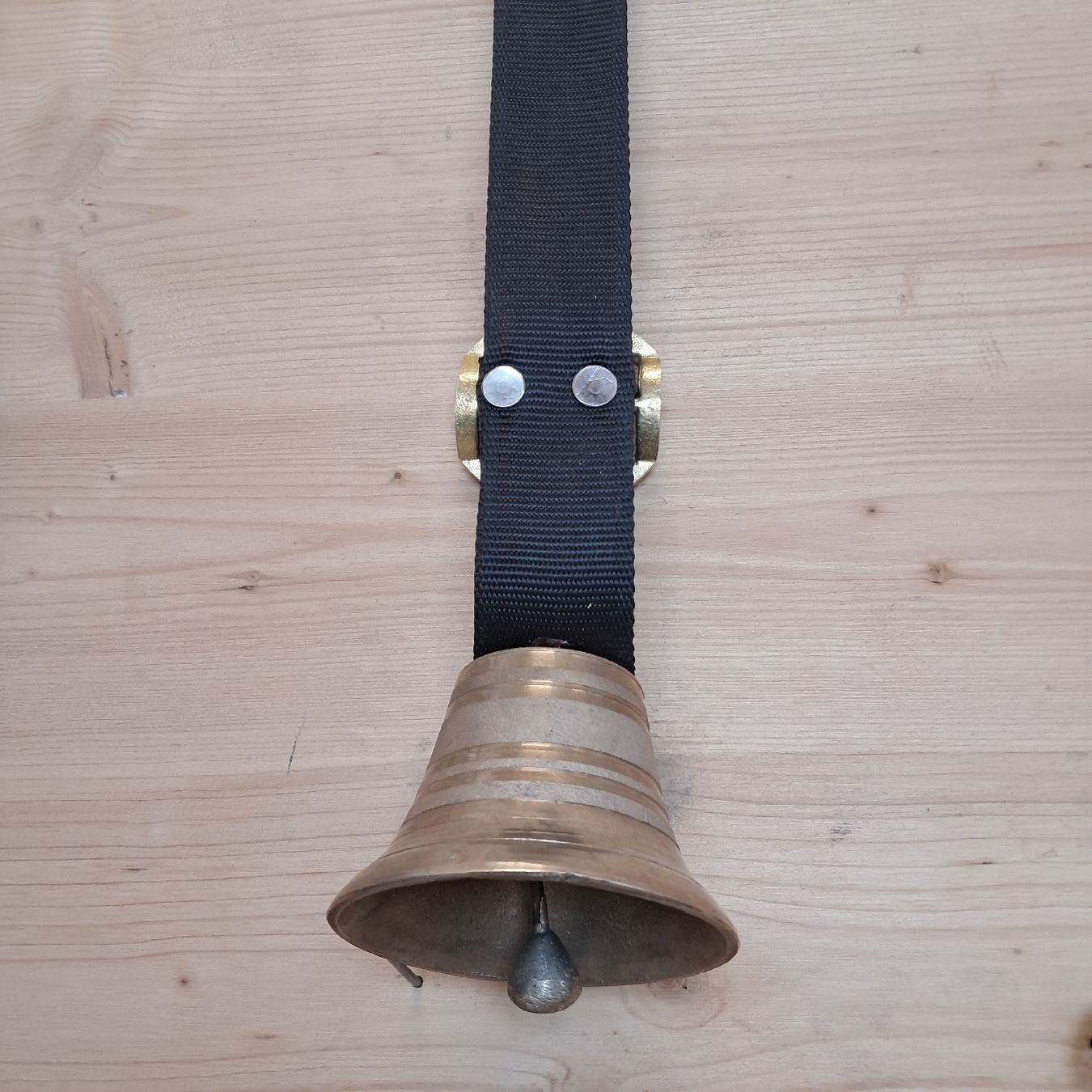 Campanacci mucche: SCHLICHTE KLEINE GLOCKE  – Usato da Murten venduto da SHETHOF 3