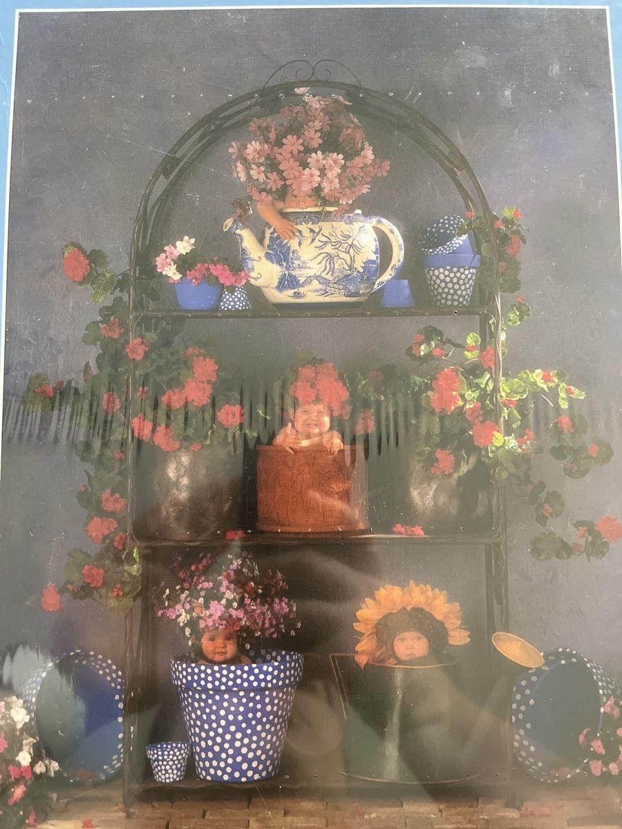 Puzzle: Anne Geddes Puzzle – Nuovo e nell'imballaggio originale da Aarau Rohr venduto da sid_h6 2