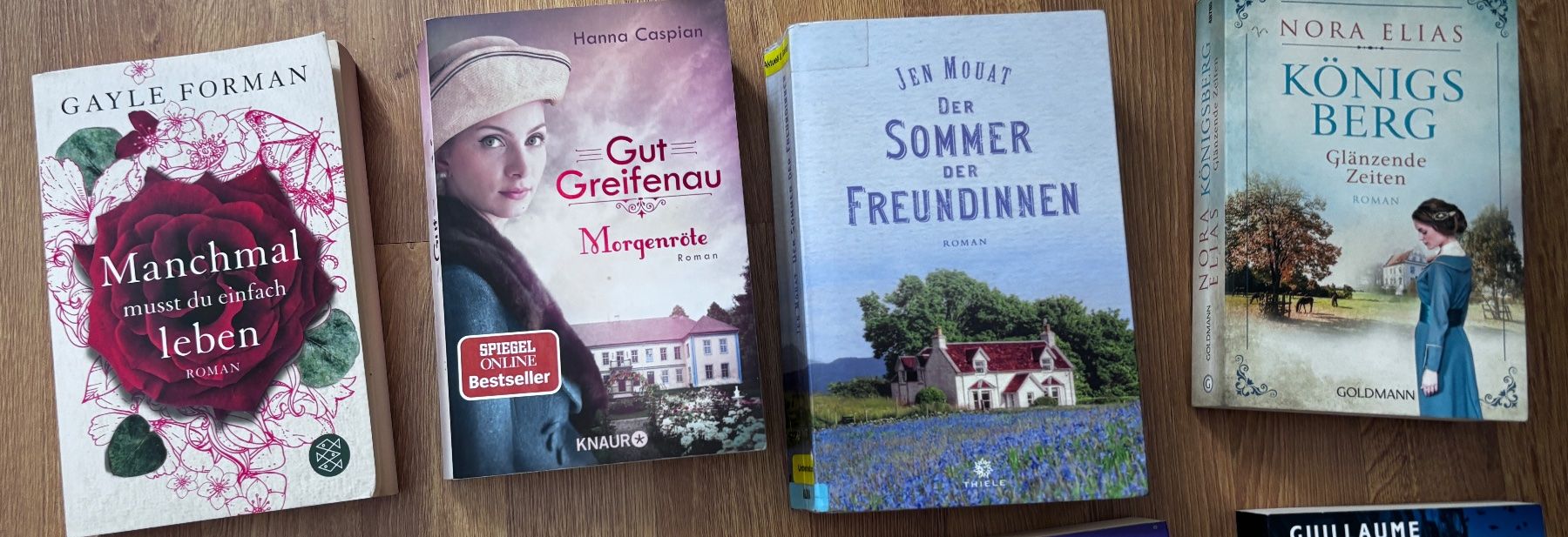 Libri: Bücherpaket mit Frauen-Romane – Usato da Basel venduto da NellyBotti 1