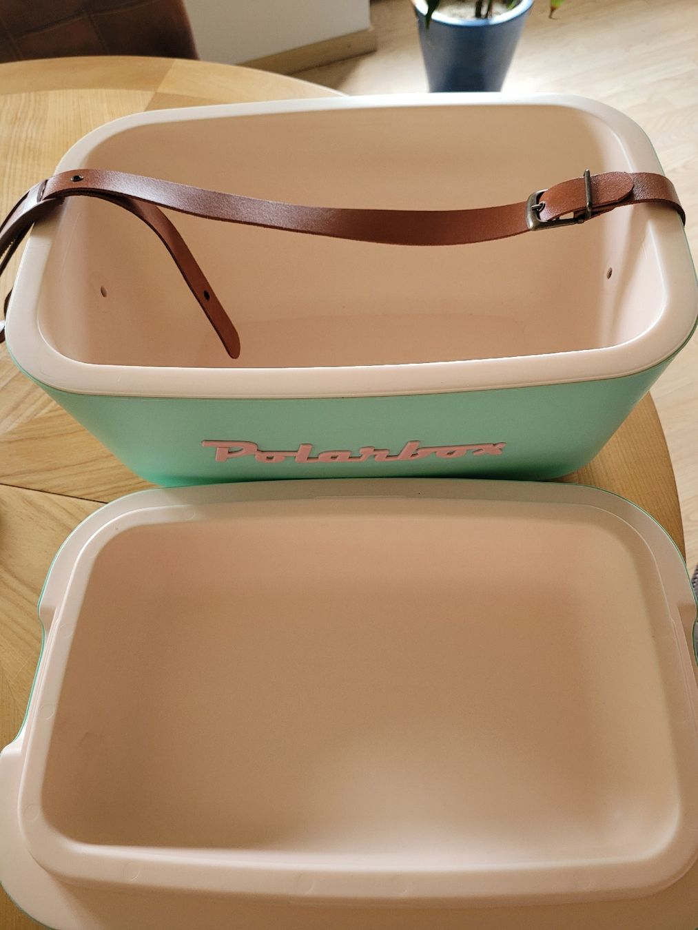 Réfrigérateurs et refroidissement: Polisur Kühlbox Retro 20l – D'occasion à Rüti ZH par Guapitos_on_Tour 1