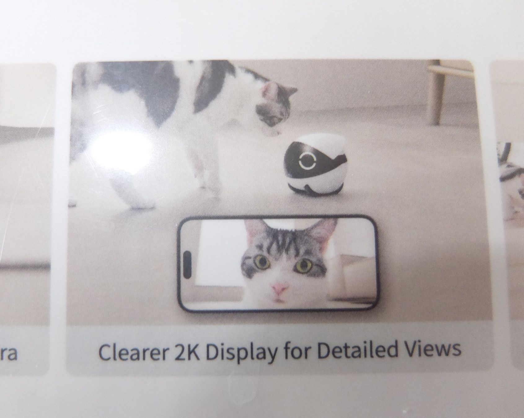 Videocamere: Enabot Rola Mini Companion Robot  camera – Nuovo e nell'imballaggio originale da Basel venduto da Elektronik_Markt 5