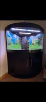 Schönes "Juwel"-Eck-Aquarium 300 Liter