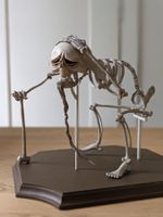 Corpse Bride: "Elder Gutknecht" Figur, Jun Planning