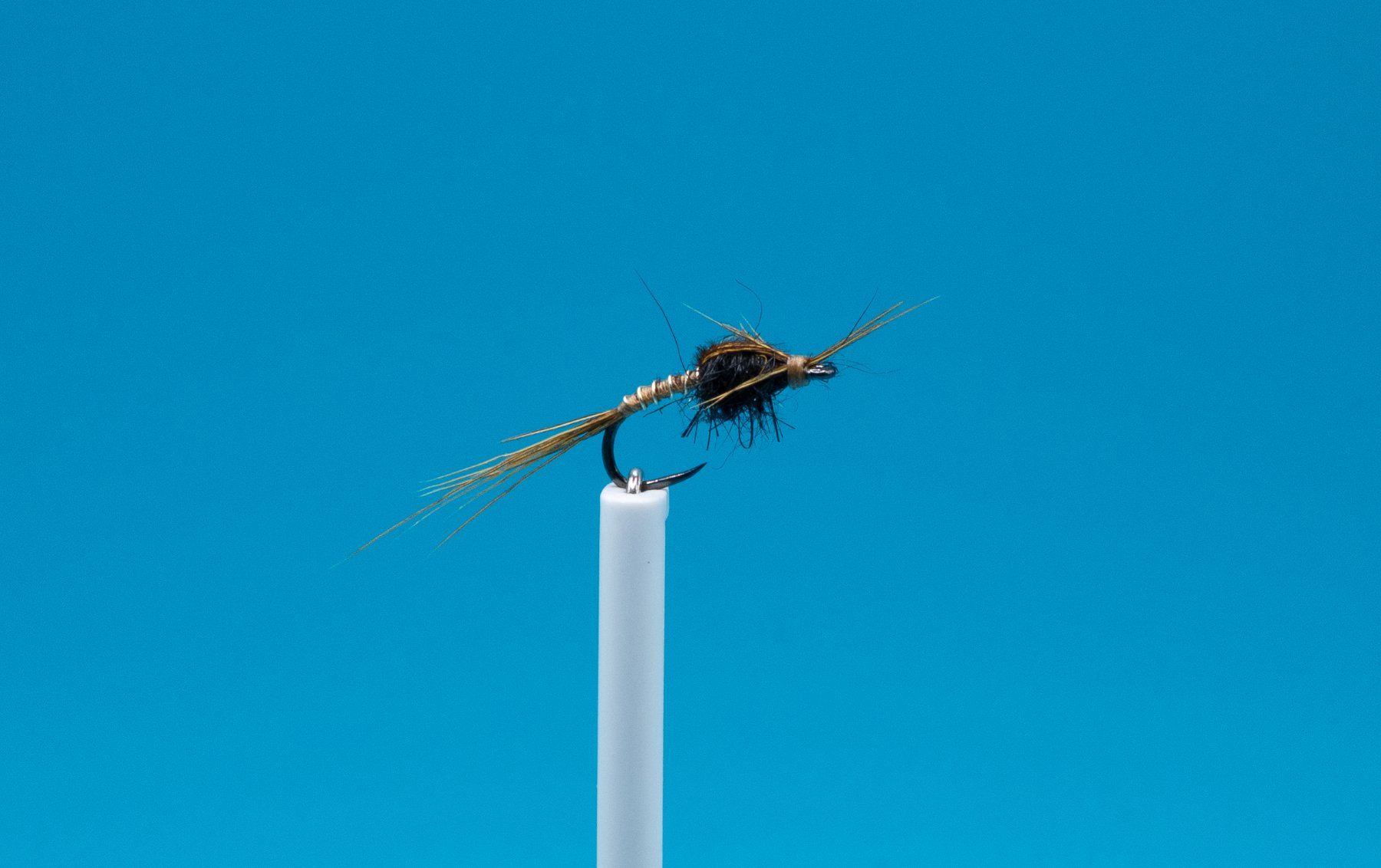 Esche: 10 verschiedene Emerger- Nymphen – Nuovo e nell'imballaggio originale da Grenchen venduto da firefly2000 7