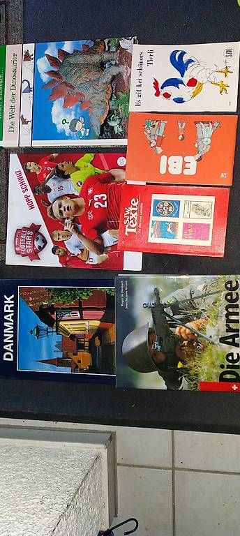 Libri: Diverse Bücher  – Usato da Boll venduto da minta24 1