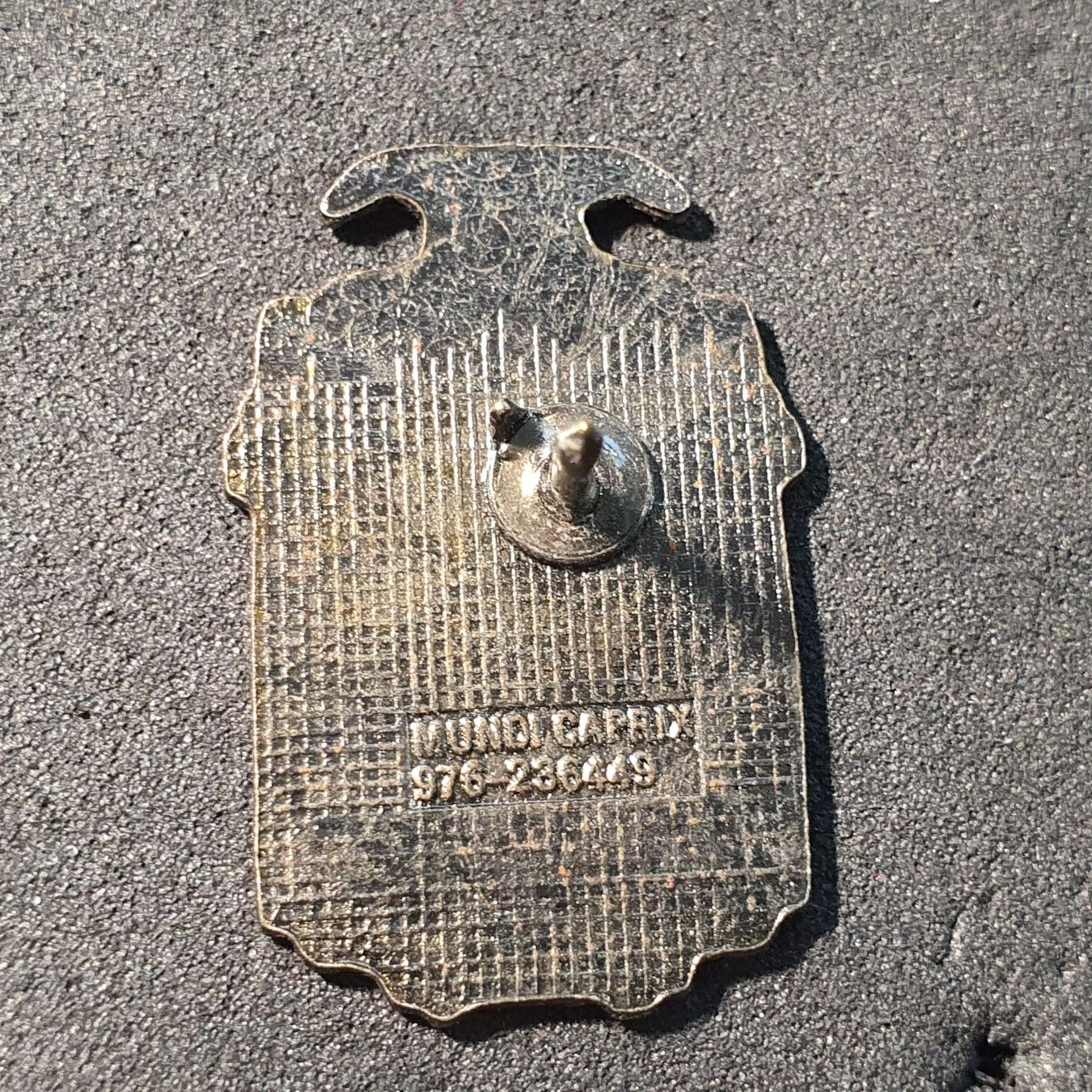 Placchette & Badge: W640 - Pin Tram Bahn Strassenbahn – Usato da Reinach BL venduto da Boston-Verkauf 1