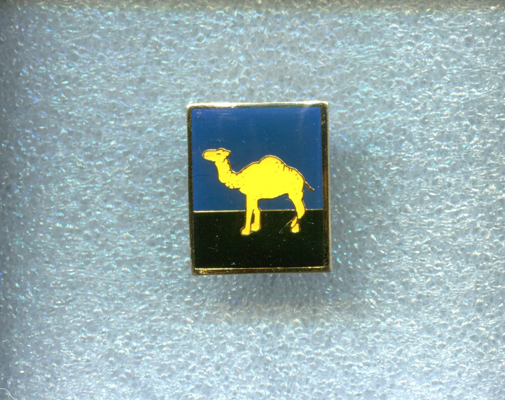 Camel Placchette & Badge: CAMEL – Usato da Winterthur venduto da Sammleroase