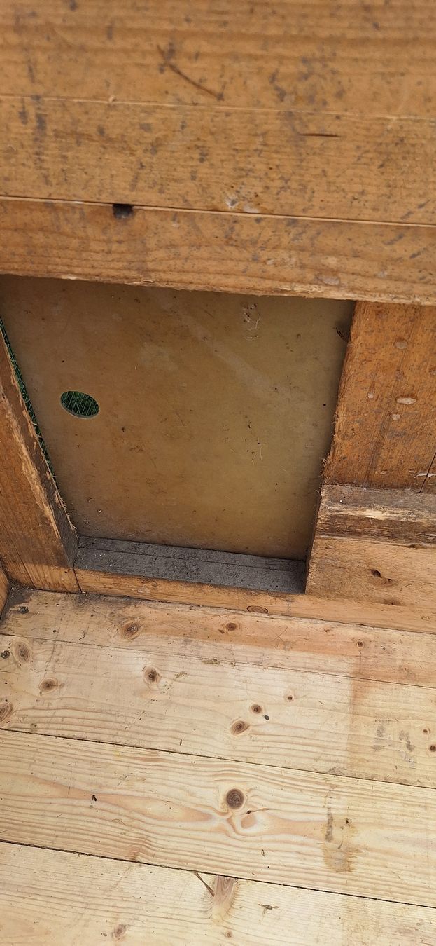 Gabbie, trasporto & Sicurezza: Hasenstall mit Auslauf – Usato da Montlingen venduto da lalita10 6