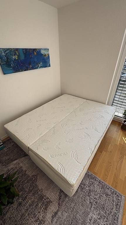 Divani: Bettsofa Johann Jakob / Pfister  – Usato da Liebefeld venduto da BernVerkaufAnkauf 3