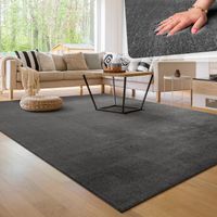 ANGEBOT▶️  Teppich Super Soft Antrazith 300x400 cm NEU