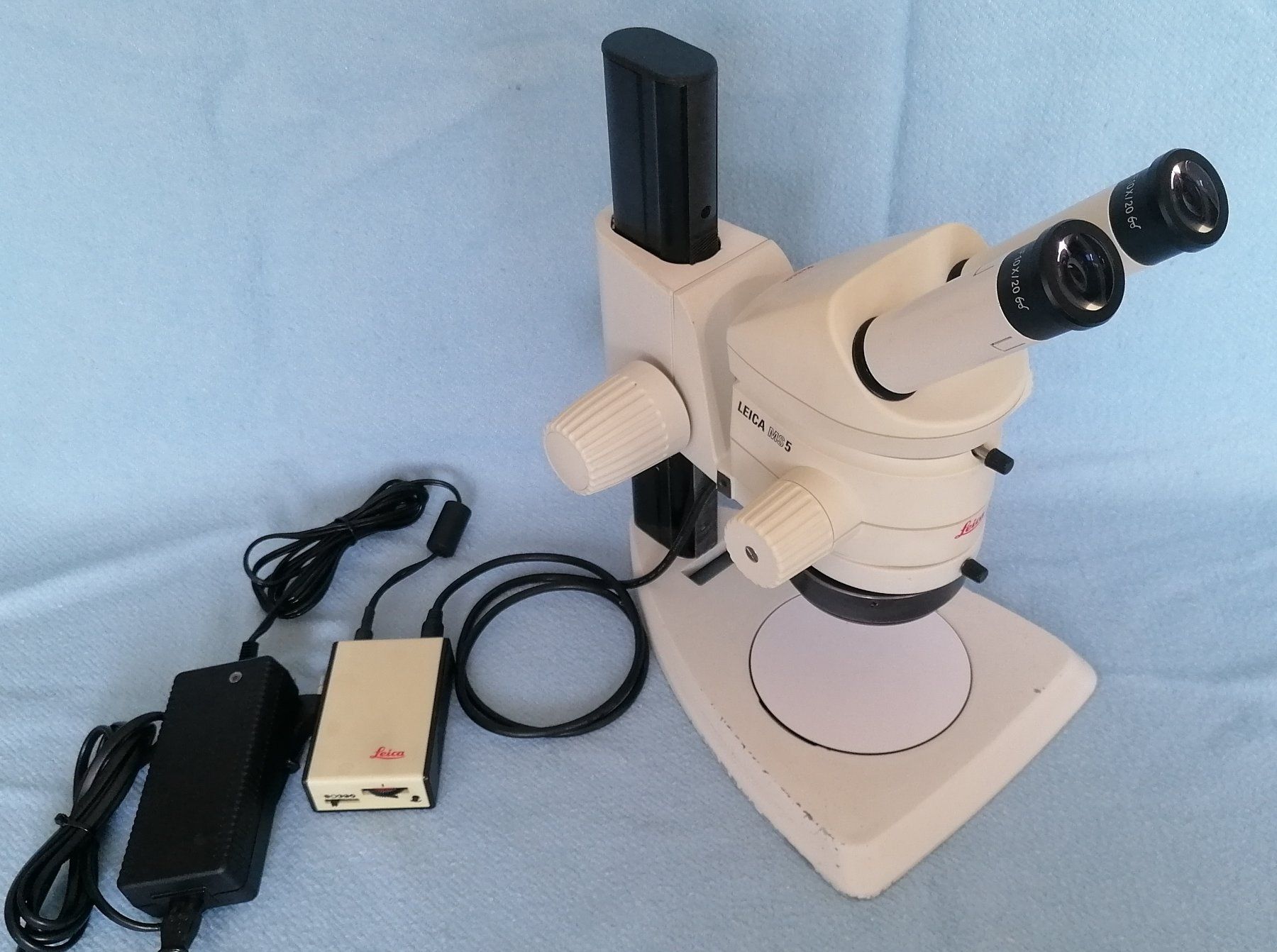 Leica Microscopi: Stereo-Mikroskop LEICA MS5 mit Ringlicht – Usato da Kerns venduto da Tuctuc2