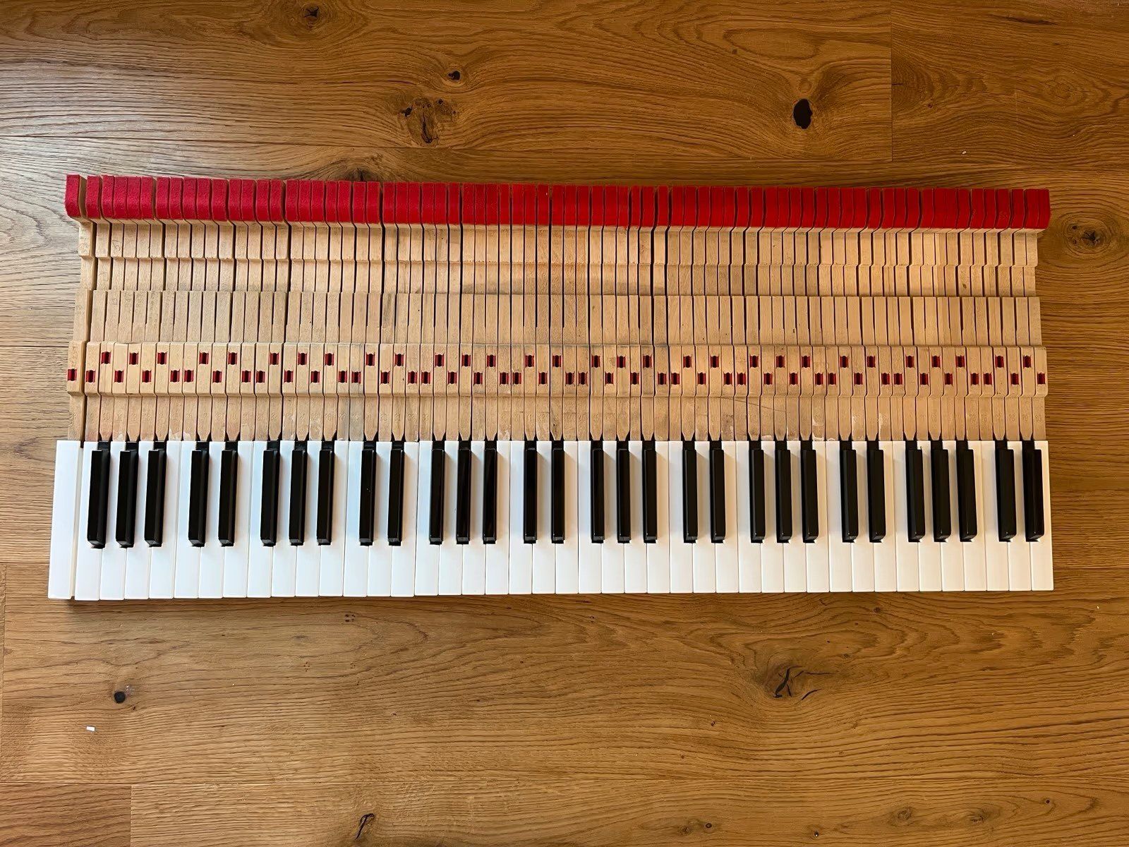 Rhodes Strumenti musicali: Fender Rhodes Mark 1 73 Keys, Tasten – Usato da Villigen venduto da chriwo