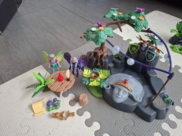 playmobil ayuma 70808 frühlingszeremonie