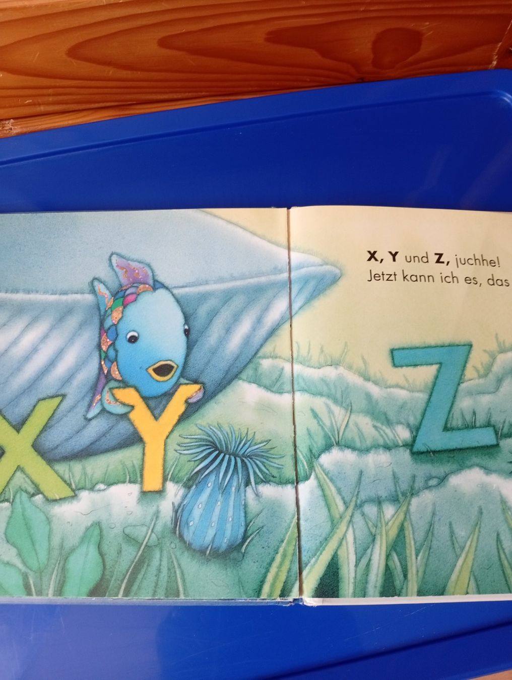 Libri: antik DER REGENBOGENFISCH lernt ABC ab 2.--Fr – Usato da Killwangen venduto da Freds7 4