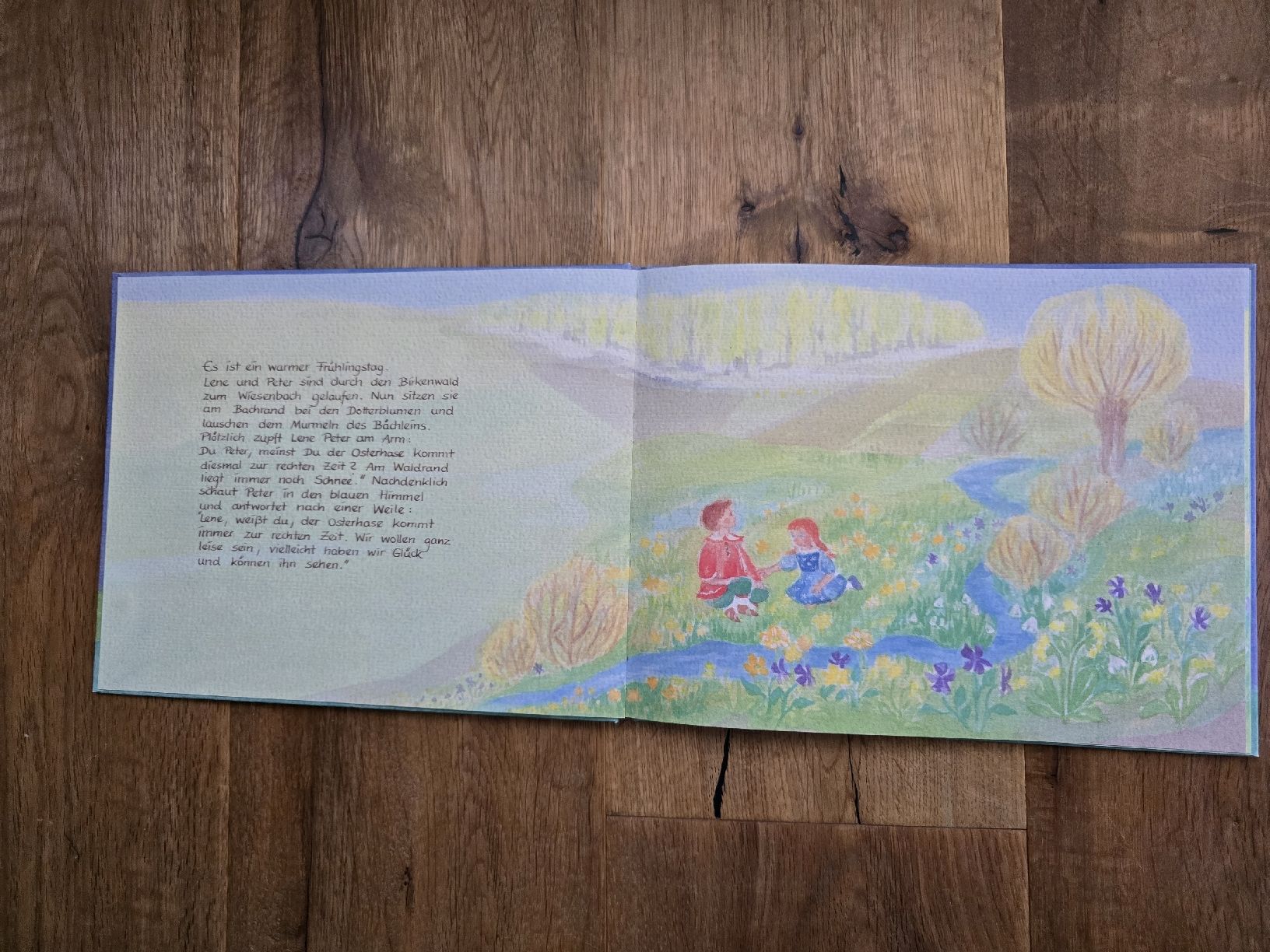 Libri: vom traum des osterhasen bilderbuch – Usato da Wittenbach venduto da Tigerlili 6