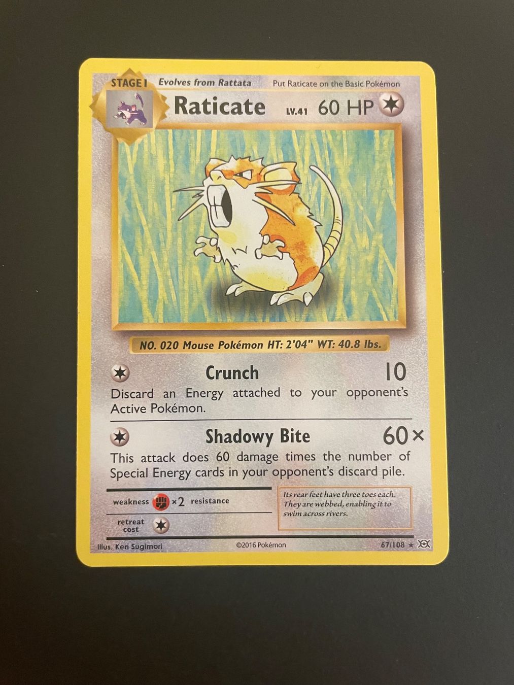 Pokémon Cartes à collectionner: Raticate 67/108 Evolutions – D'occasion à Zürich par pokemon_cards