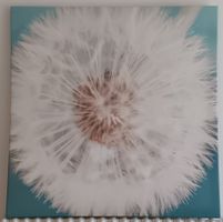 Wandbild Pusteblume 90 x 90 cm aus LIVIQUE